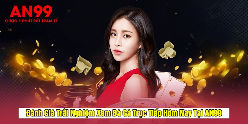 Đánh Giá Trải Nghiệm Xem Đá Gà Trực Tiếp Hôm Nay Tại AN99