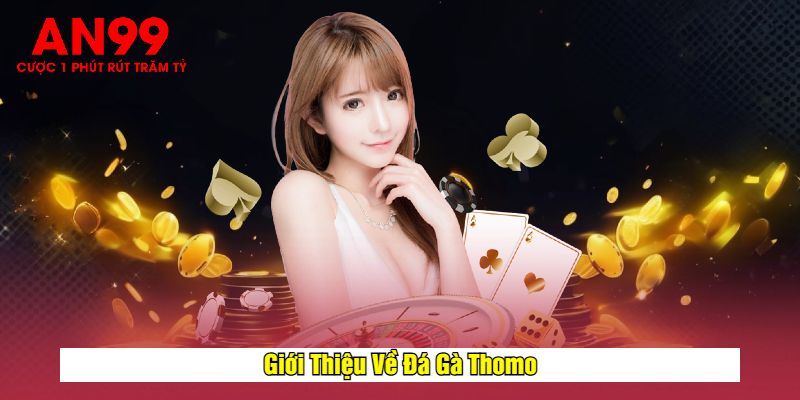 Giới Thiệu Về Đá Gà Thomo