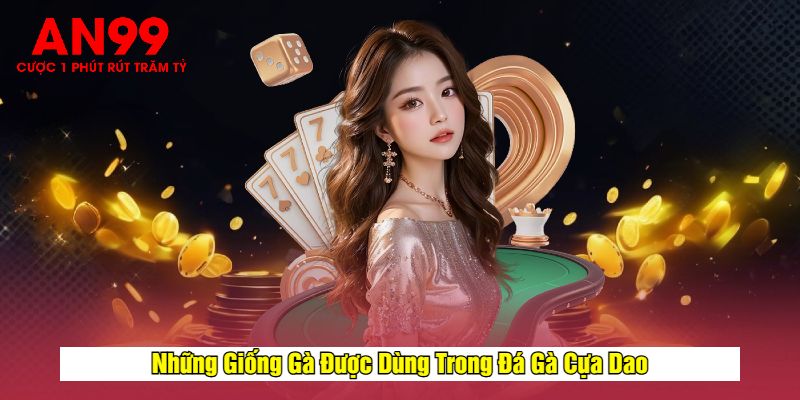 Những Giống Gà Được Dùng Trong Đá Gà Cựa Dao