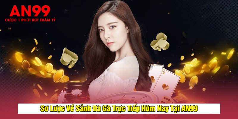 Sơ Lược Về Sảnh Đá Gà Trực Tiếp Hôm Nay Tại AN99